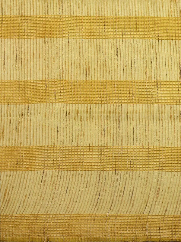 Authentic_Ecru_Green_Mulberry_Ghicha_Silk_Handloom_Bhagalpuri_Net_Saree