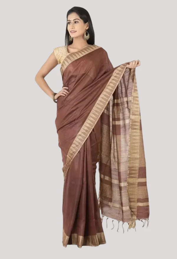 Chico_Brown_Handloom_Semi_Tussar_Silk_Temple_Border_Bhagalpuri_Saree