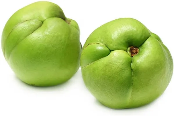 Elephant_Apple_Plant_(Hybrid)