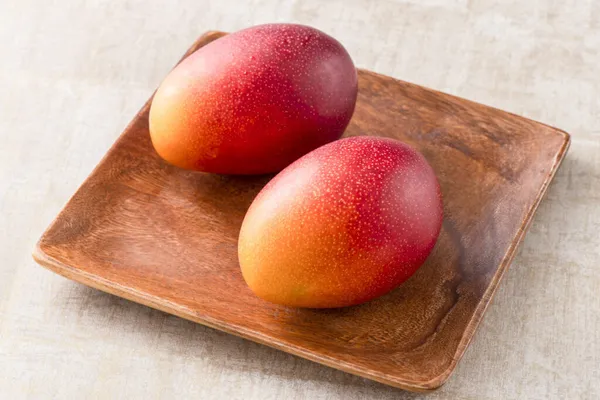 Mango_Plant_All_Time_Fruit_12_Month_Grafted_Plant