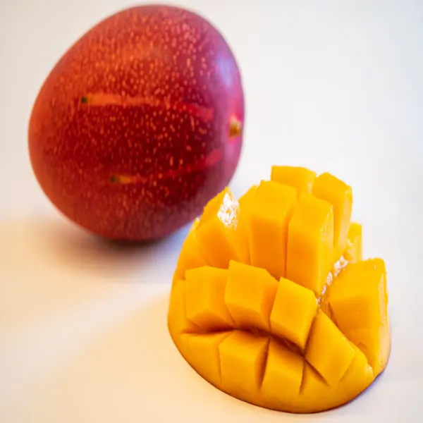 Grafted_Miyazaki_Mango_Plant_|_Dwarf_And_Hybrid