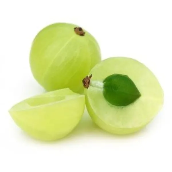 Amla_Grafted_Plant_Hybrid
