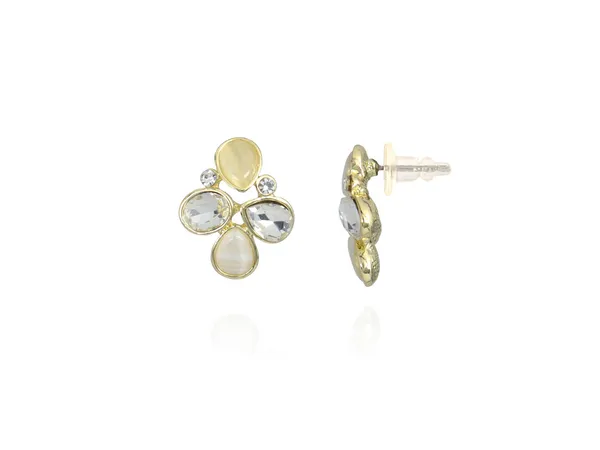 Multicolor_Stainless_Steel_18-Carat_Gold_Polish_Petal_Glow_Set_For_Women