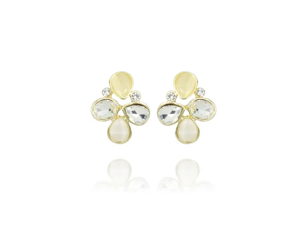 Multicolor_Stainless_Steel_18-Carat_Gold_Polish_Petal_Glow_Set_For_Women