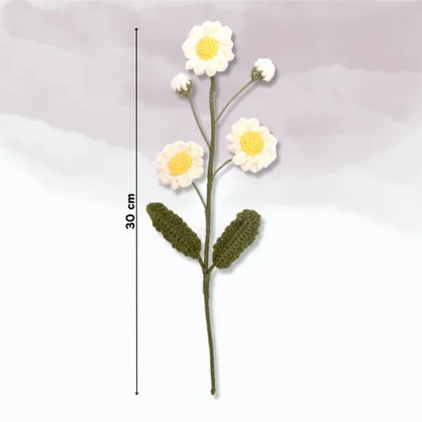 Off_White_Daisy_Flowers_For_Home_Decor_Gifting