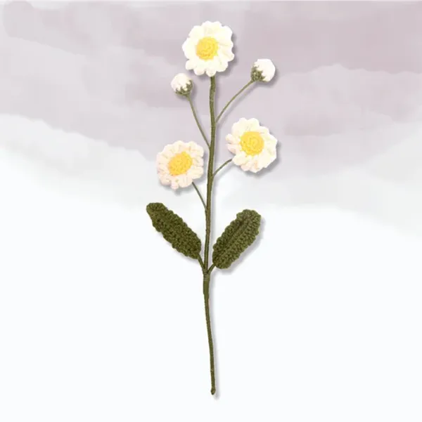 Off_White_Daisy_Flowers_For_Home_Decor_Gifting