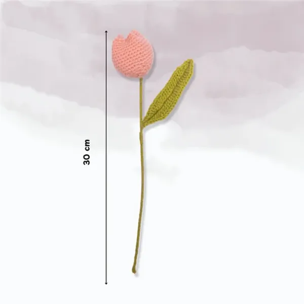 Peach_Tulip_Flowers_For_Home_Decor_Gifting