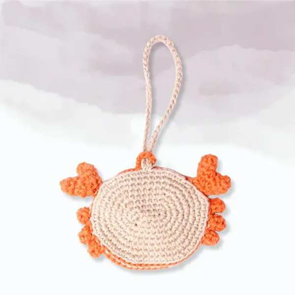 Orange_Crab_Airpod_Case