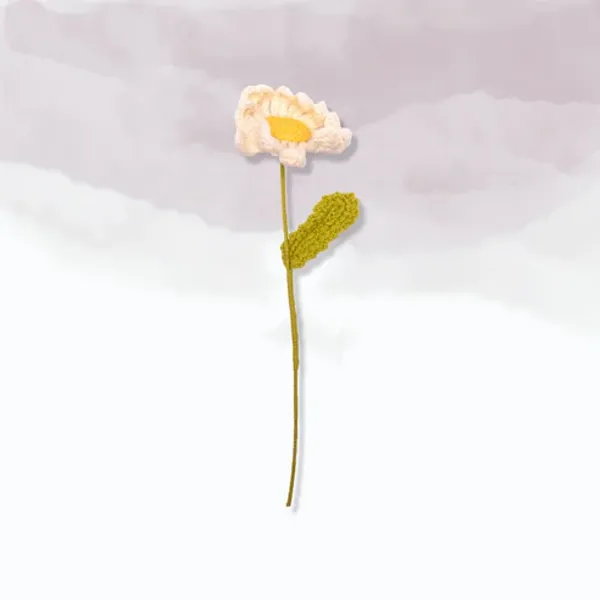 Off_White_Daisy_Big_Flowers_For_Home_Decor_Gifting