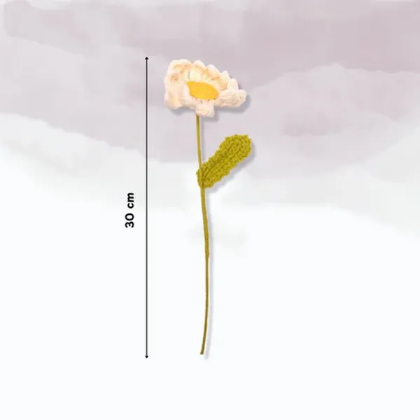 Off_White_Daisy_Big_Flowers_For_Home_Decor_Gifting