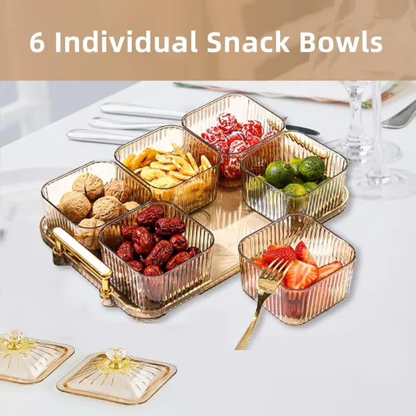 GR8INDIA®_Snacks_Serving_Tray_Set,_6_Serving_Bowls_with_Lids_-_Divided_Serving_Dishes_Snack_Bowls_for_Dry_Fruits,_Namkeen,_Candy,_Condiments_|_Food_Grade_Plastic_Bowls_Over_Metal_Wire_Tray_PTY12