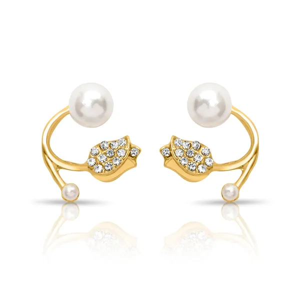 Multicolor_Alloy,_Stainless_Steel_&_Resin_Premium_&_Elegant_Earrings_For_Women_&_Girls_(Set_Of_2)