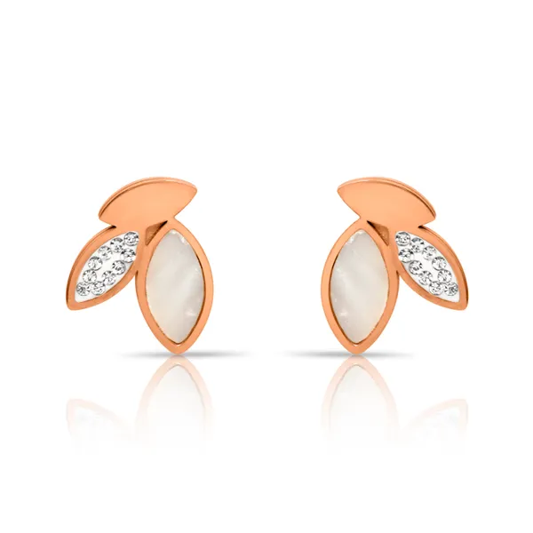 Demifine_Jewellery_Rose_Gold_Alloy_&_Stainless_Steel_Premium_&_Elegant_Earrings_For_Women_&_Girls_(Set_Of_2)