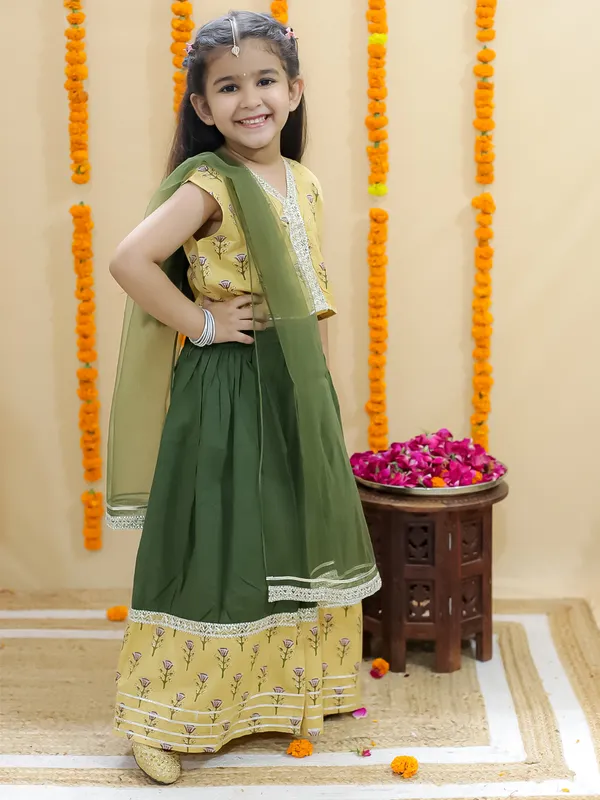 Green_Pure_Cotton_Printed_Lehenga_Choli