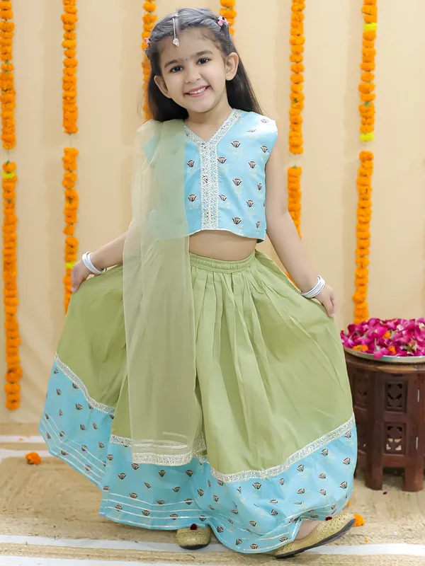 Sky_Blue_Pure_Cotton_Printed_Lehenga_Choli