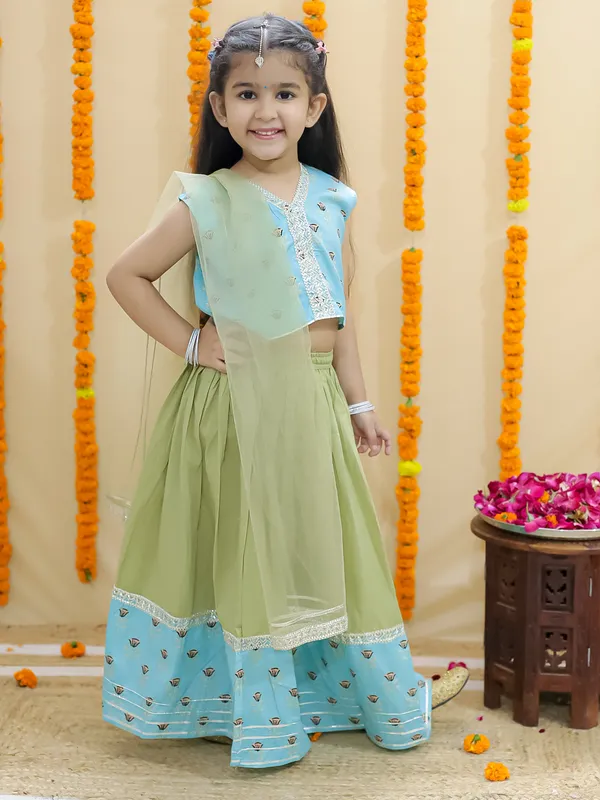 Sky_Blue_Pure_Cotton_Printed_Lehenga_Choli