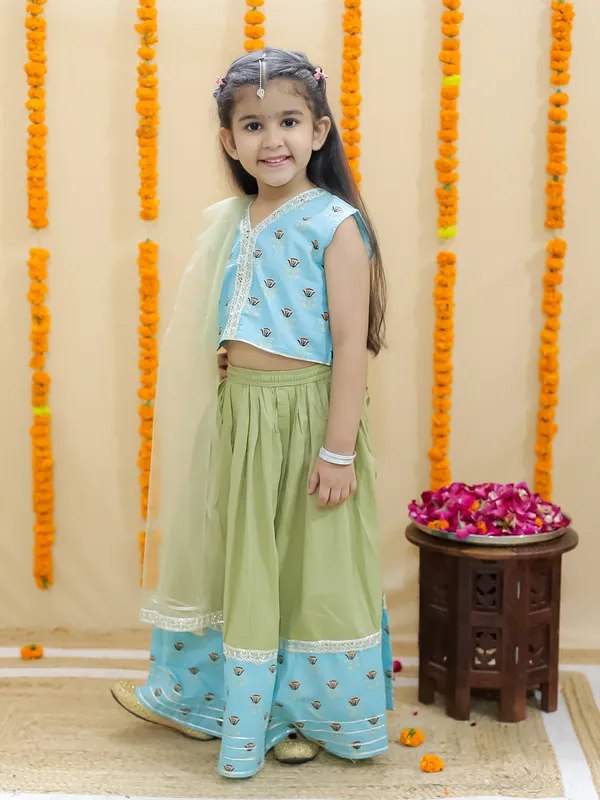 Sky_Blue_Pure_Cotton_Printed_Lehenga_Choli