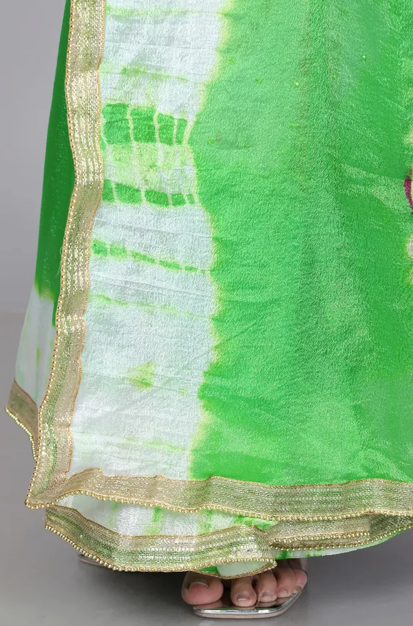 Green_Trendy_Printed_Printed_Shibori_Printed_Stone_Work_Sarees_For_Women