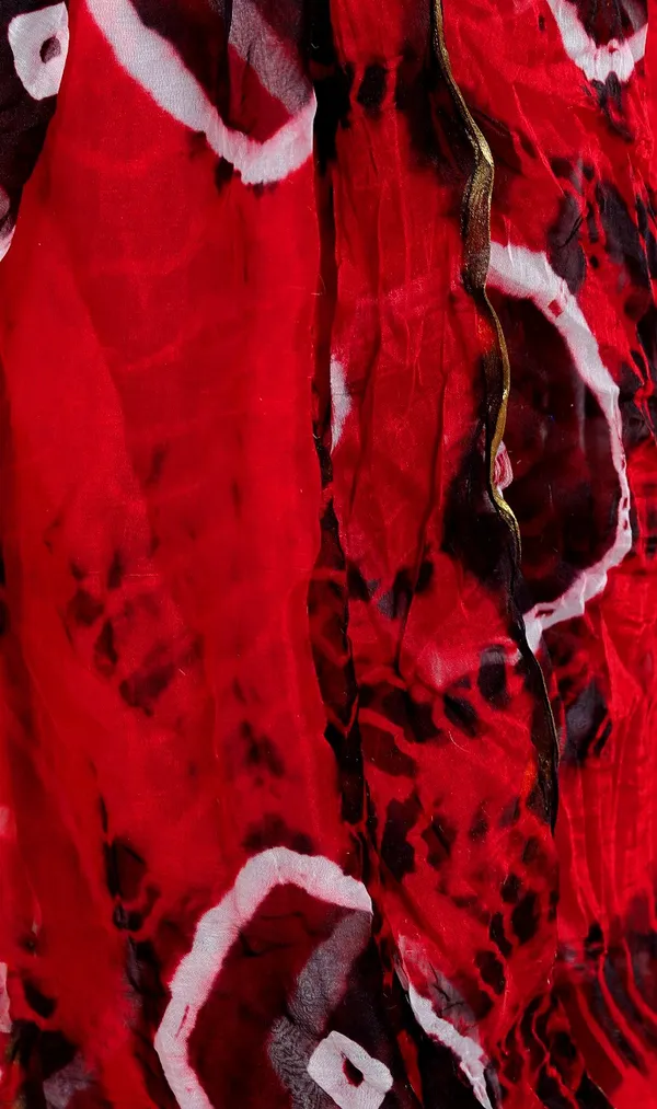 Red_Pure_Chiffon_Printed_Saree_Bandhini_Printed_Sarees_For_Women