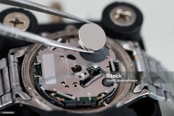 Wrist_Watch_Button_Cell_(_Battery_)_Pack_Of_1