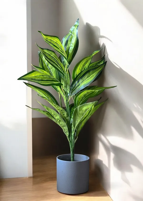 2_Feet_Graceful_Artificial_Dracaena_Plant_in_Elegant_Grey_Pot_Natural_Look_Indoor_Greenery