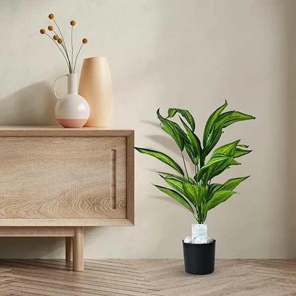2_Feet_JJ_HOMES_Artificial_Green_Dieffenbachia_Plant_with_Pot_28_Inch_Decorative_Faux_Plant_for_Home_&_Office_Decor
