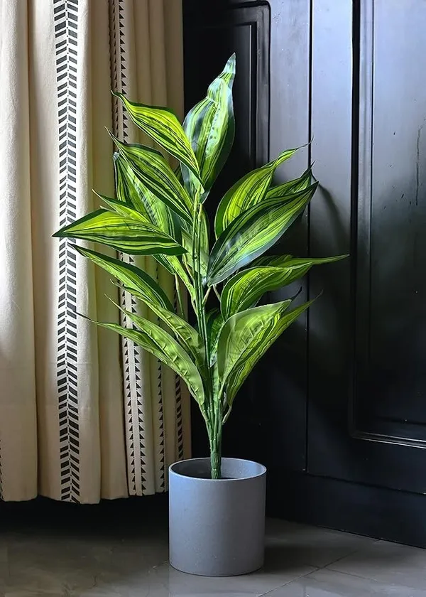 2_Feet_JJ_HOMES_Artificial_Green_Dieffenbachia_Plant_with_Pot_28_Inch_Decorative_Faux_Plant_for_Home_&_Office_Decor