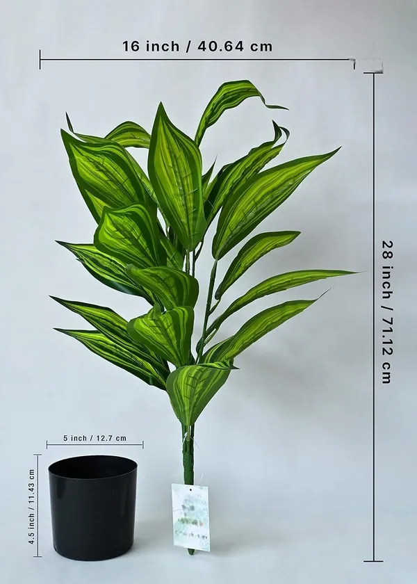 2_Feet_JJ_HOMES_Artificial_Green_Dieffenbachia_Plant_with_Pot_28_Inch_Decorative_Faux_Plant_for_Home_&_Office_Decor