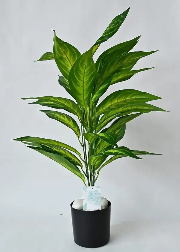 2_Feet_JJ_HOMES_Artificial_Green_Dieffenbachia_Plant_with_Pot_28_Inch_Decorative_Faux_Plant_for_Home_&_Office_Decor