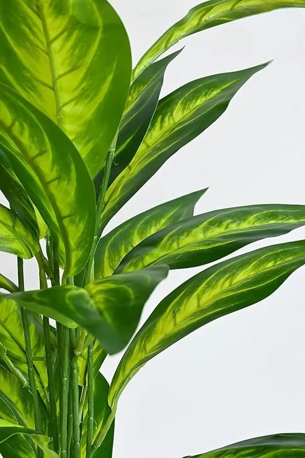 2_Feet_JJ_HOMES_Artificial_Green_Dieffenbachia_Plant_with_Pot_28_Inch_Decorative_Faux_Plant_for_Home_&_Office_Decor
