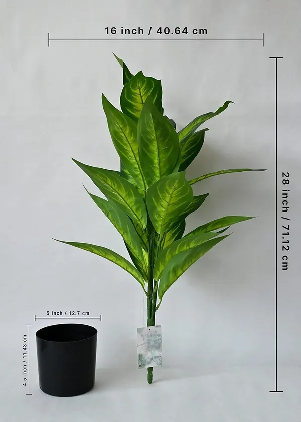 2_Feet_JJ_HOMES_Artificial_Green_Dieffenbachia_Plant_with_Pot_28_Inch_Decorative_Faux_Plant_for_Home_&_Office_Decor