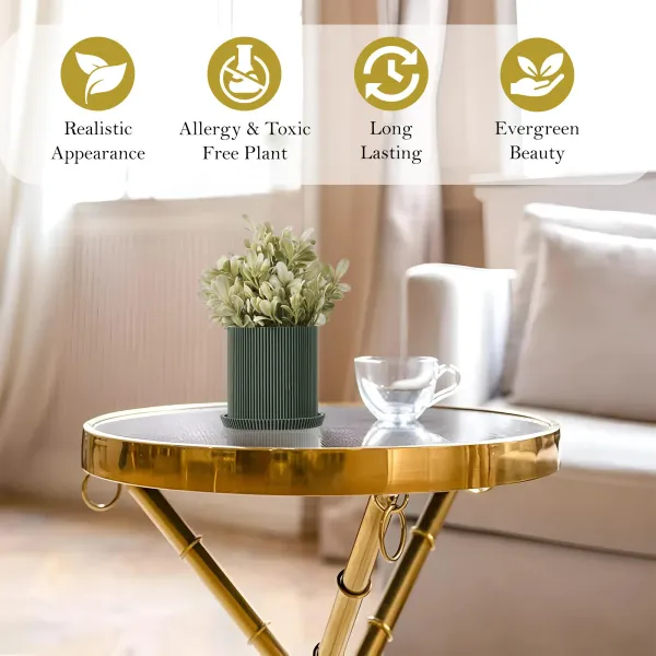 Artificial_Decorative_Plant_with_Pot_for_Home_&_Office_|_19_cm_Indoor_Table_top_Greenery_|_Allergy-Free_&_Long-Lasting_Plastic_Bonsai_(Green_Pot)