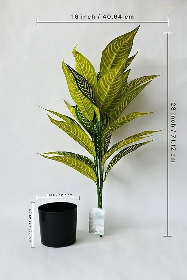 2_Feet_JJ_HOMES_Artificial_Yellow_Dieffenbachia_Plant_with_Pot_28_Inch_Decorative_Faux_Plant_for_Home_&_Office_Decor
