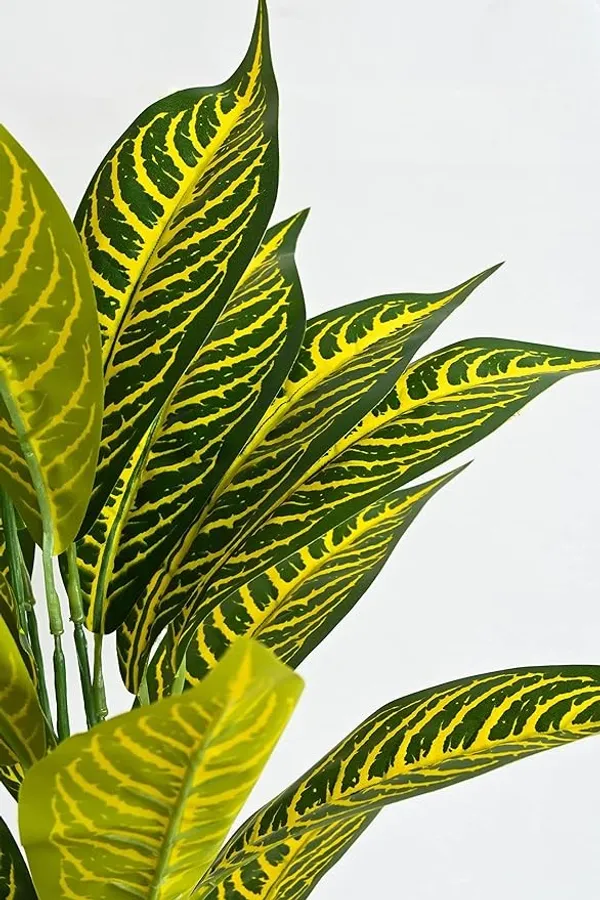 2_Feet_JJ_HOMES_Artificial_Yellow_Dieffenbachia_Plant_with_Pot_28_Inch_Decorative_Faux_Plant_for_Home_&_Office_Decor