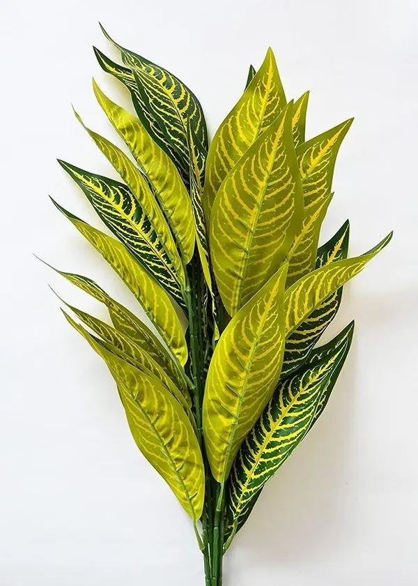 2_Feet_JJ_HOMES_Artificial_Yellow_Dieffenbachia_Plant_with_Pot_28_Inch_Decorative_Faux_Plant_for_Home_&_Office_Decor