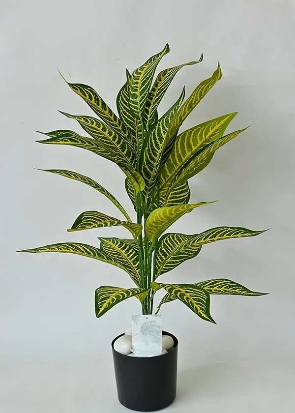 2_Feet_JJ_HOMES_Artificial_Yellow_Dieffenbachia_Plant_with_Pot_28_Inch_Decorative_Faux_Plant_for_Home_&_Office_Decor