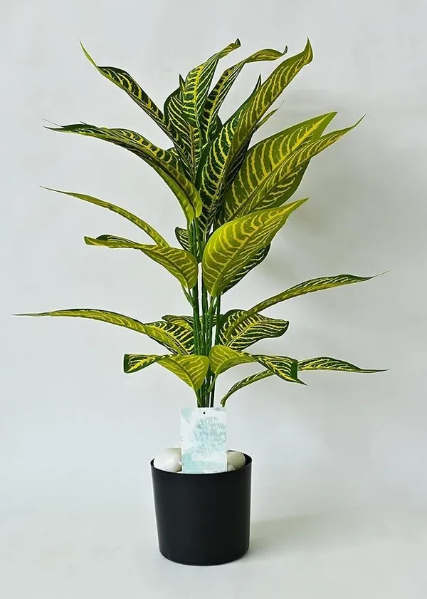 2_Feet_JJ_HOMES_Artificial_Yellow_Dieffenbachia_Plant_with_Pot_28_Inch_Decorative_Faux_Plant_for_Home_&_Office_Decor