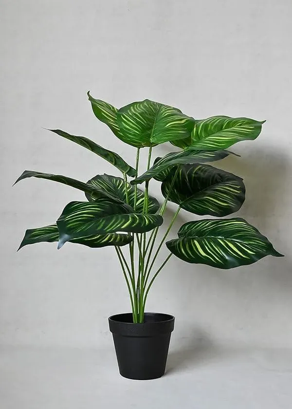 2_Feet_Lush_Artificial_Kallithea_Plant_in_Black_Pot_Realistic_Broad_Leaf_Home_Decor