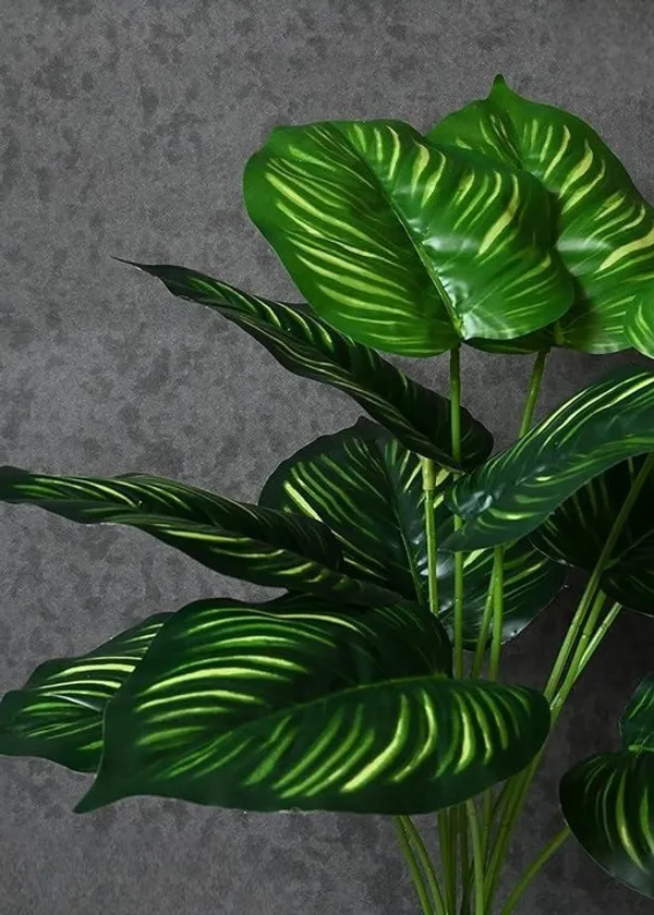 2_Feet_Lush_Artificial_Kallithea_Plant_in_Black_Pot_Realistic_Broad_Leaf_Home_Decor