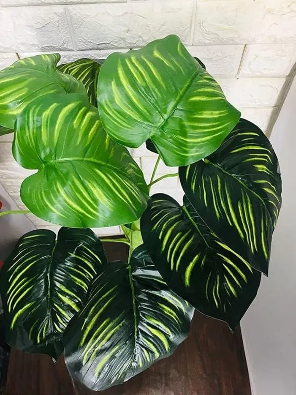 2_Feet_Lush_Artificial_Kallithea_Plant_in_Black_Pot_Realistic_Broad_Leaf_Home_Decor