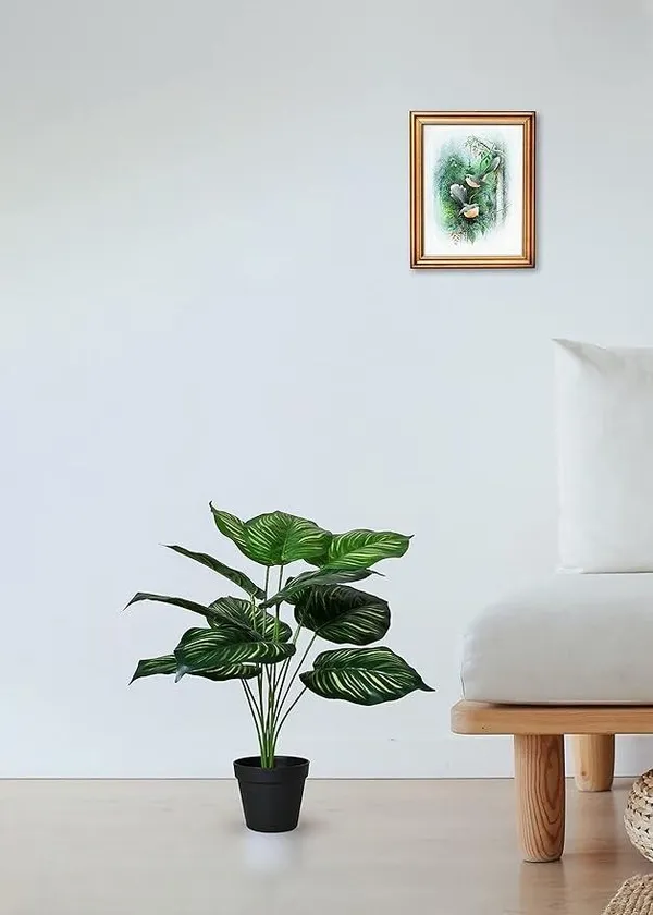 2_Feet_Lush_Artificial_Kallithea_Plant_in_Black_Pot_Realistic_Broad_Leaf_Home_Decor