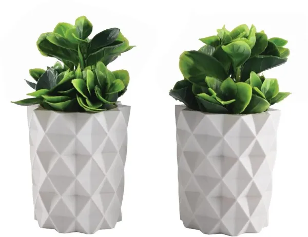 Pack_Of_2_White_Artificial_Succulent_Plant_In_Geometric_Pot_Small_Decorative_Faux_Plant_For_Home_Or_Office
