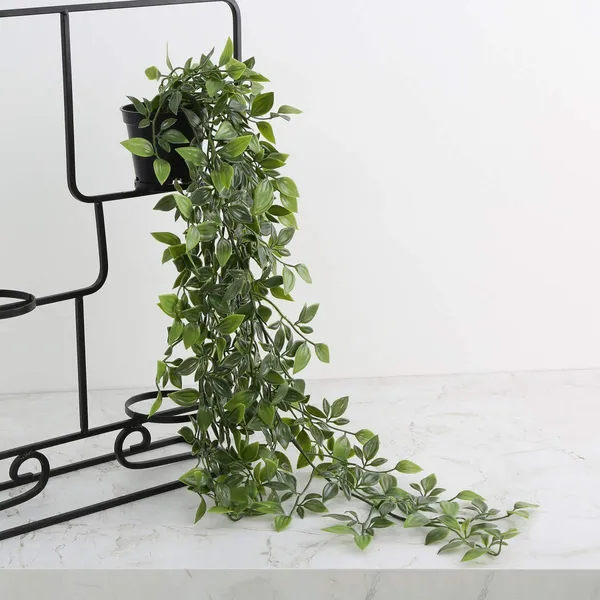 Artificial_Hanging_Creeper_Plant_With_Black_Pot__Lifelike_Greenery_for_Home_&_Office_Decor__75_cm