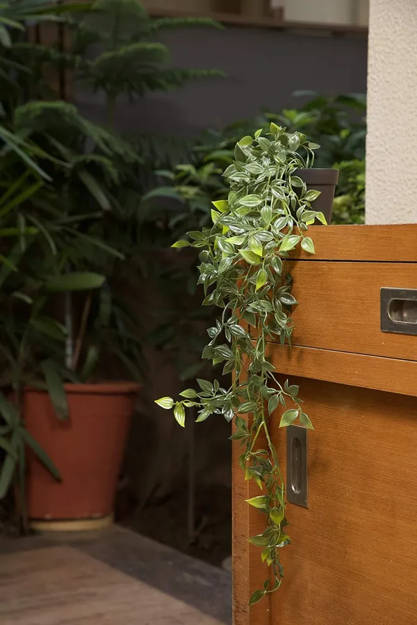 Artificial_Hanging_Creeper_Plant_With_Black_Pot__Lifelike_Greenery_for_Home_&_Office_Decor__75_cm