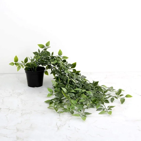 Artificial_Hanging_Creeper_Plant_With_Black_Pot__Lifelike_Greenery_for_Home_&_Office_Decor__75_cm