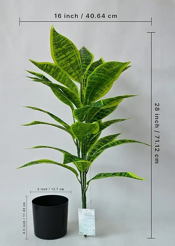 2_Feet_JJ_HOMES_Artificial_Green_Dieffenbachia_Plant_with_Pot_28_Inch_Decorative_Faux_Plant_for_Home_&_Office_Decor