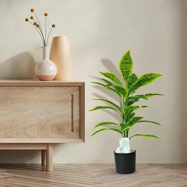 2_Feet_JJ_HOMES_Artificial_Green_Dieffenbachia_Plant_with_Pot_28_Inch_Decorative_Faux_Plant_for_Home_&_Office_Decor