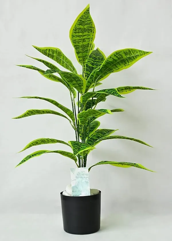 2_Feet_JJ_HOMES_Artificial_Green_Dieffenbachia_Plant_with_Pot_28_Inch_Decorative_Faux_Plant_for_Home_&_Office_Decor