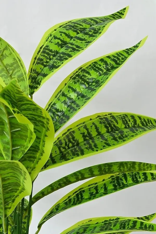 2_Feet_JJ_HOMES_Artificial_Green_Dieffenbachia_Plant_with_Pot_28_Inch_Decorative_Faux_Plant_for_Home_&_Office_Decor