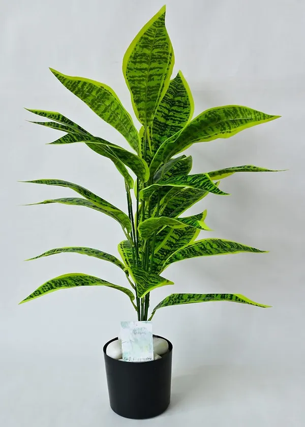 2_Feet_JJ_HOMES_Artificial_Green_Dieffenbachia_Plant_with_Pot_28_Inch_Decorative_Faux_Plant_for_Home_&_Office_Decor